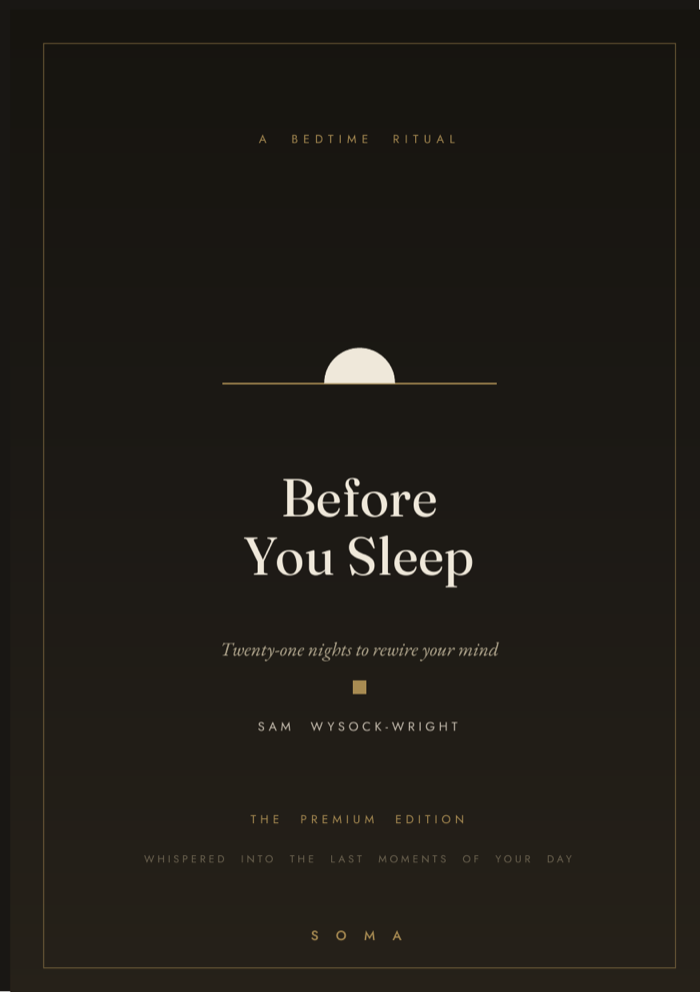 Before You Sleep book cover